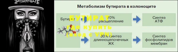 индика Володарск